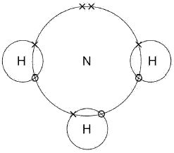dot and cross diagram ammonia|NH3 Lewis Structure .